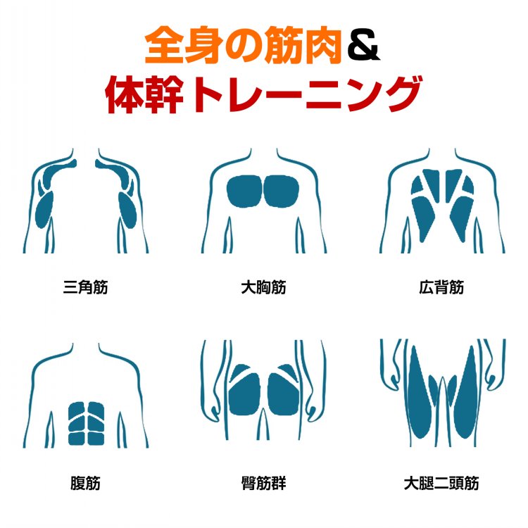 【2in1 腹筋＆プランクローラー】